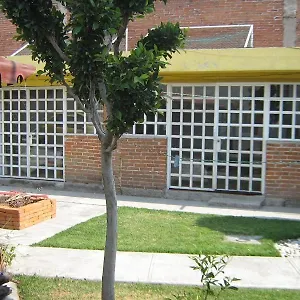 Bugambilias Heroica Puebla de Zaragoza
